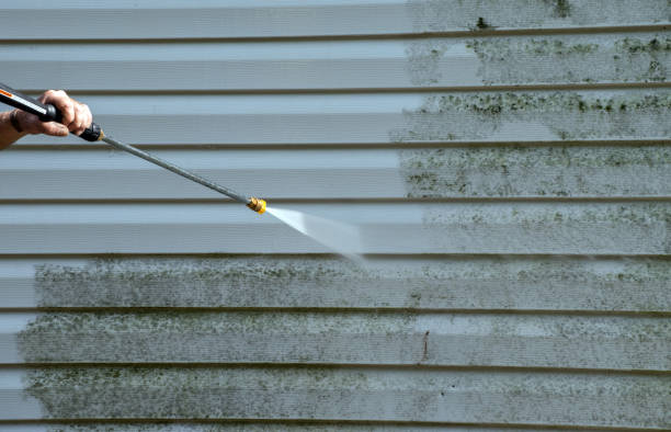 Best Gutter Cleaning  in Fort Washakie, WY